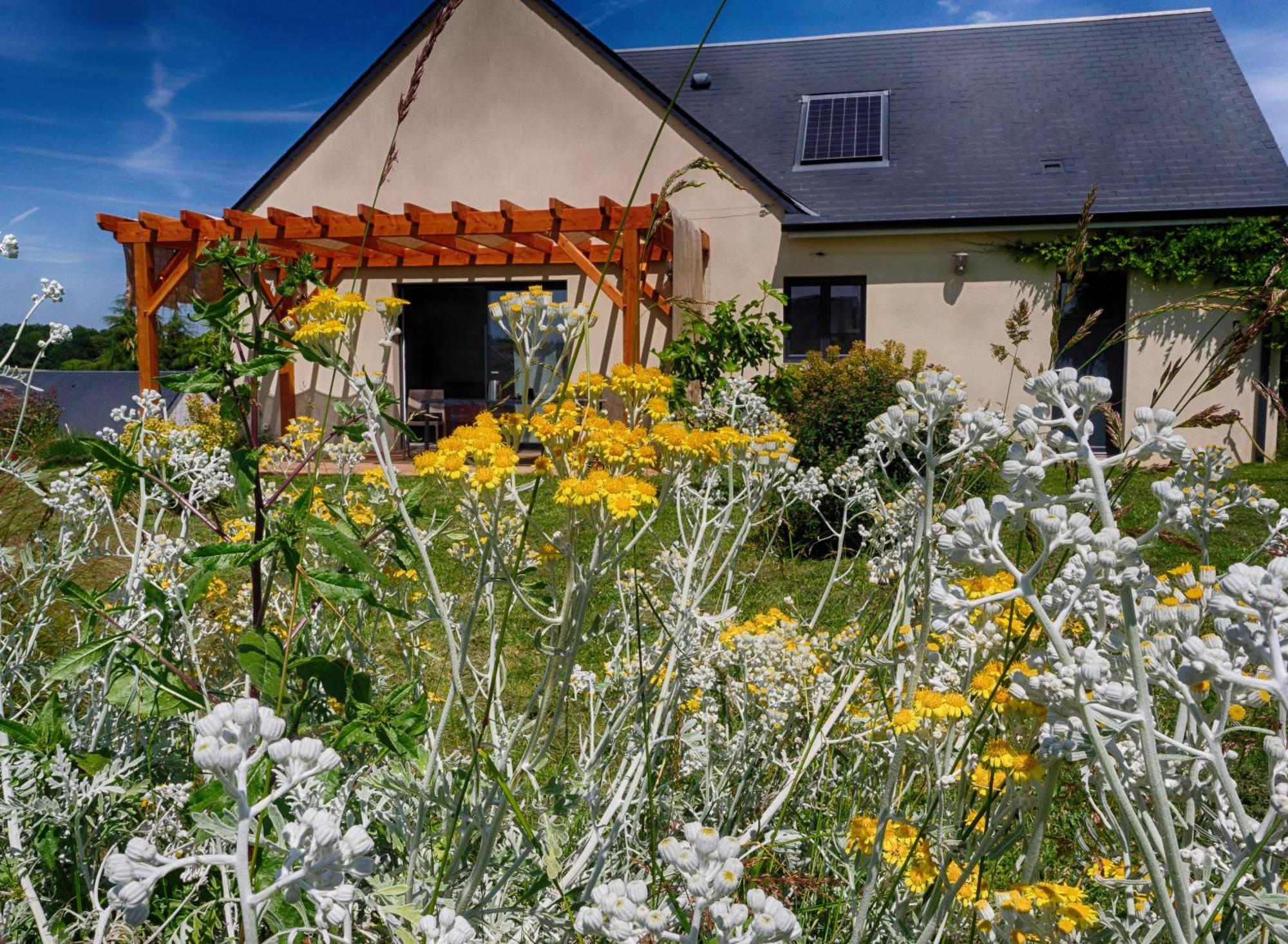 Le Logis D'Emeric Avec Paisible Jardin Clos&Arbore Loches Ngoại thất bức ảnh